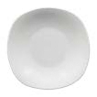 PLATO SOPERO LINEA ANTARTIC